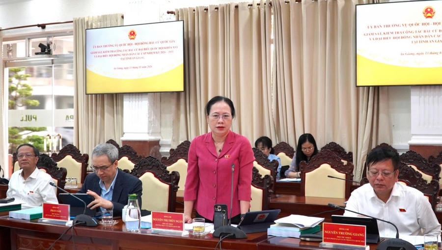 Các thành viên đoàn giám sát phát biểu tại buổi làm việc.
