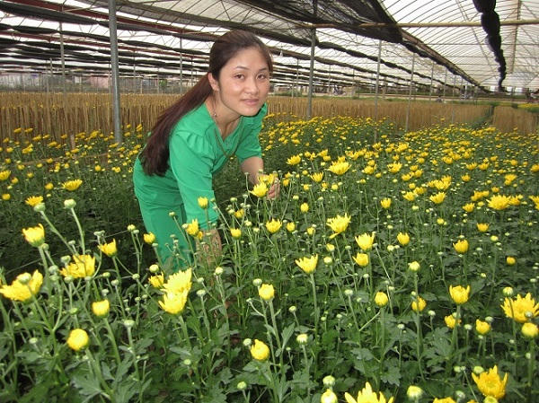 Sản xuất nông nghiệp công nghệ cao cũng phát triển mạnh ở Sơn La giai đoạn ông Trương Quang Nghĩa làm Bí thư Tỉnh ủy.