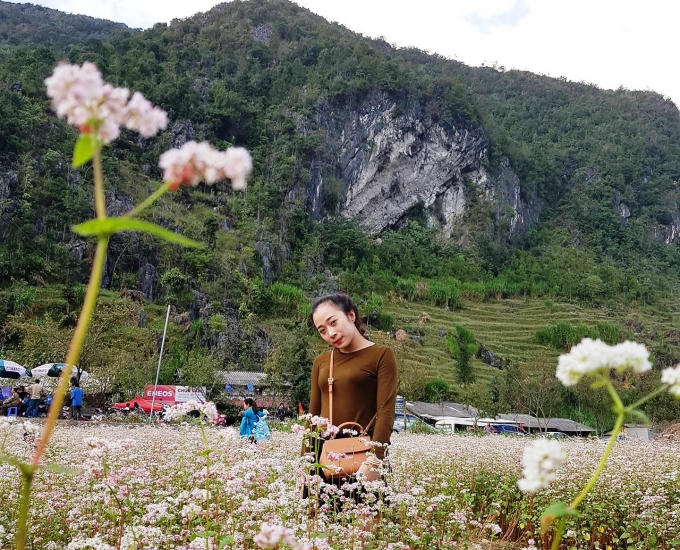 Hoa tam giác mạch đẹp mê mẩn, cuốn hút và "đọ sắc" với thiếu nữ.