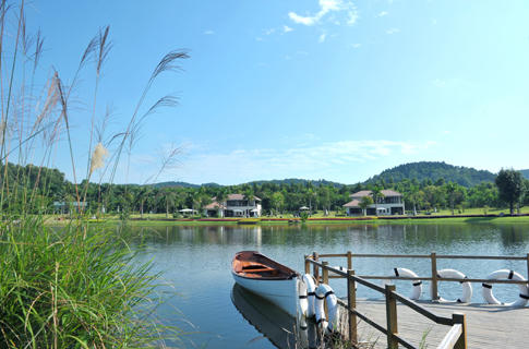 (Ảnh: diendandulich.net.vn)