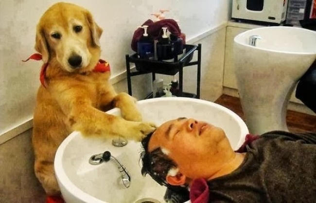 Có ai massage, gội đầu không nào?