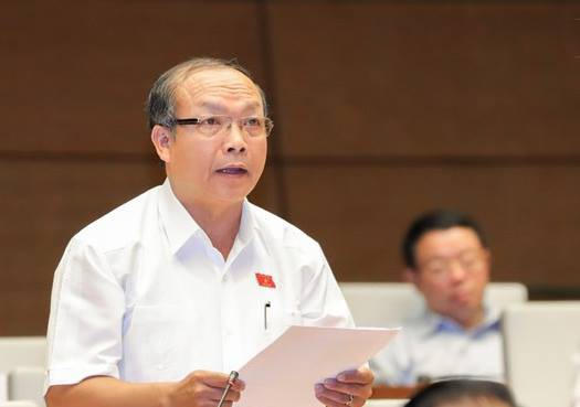 Đại biểu Đinh Duy Vượt: nhiều doanh nghiệp có dấu hiệu là sân sau của một số quan chức, cùng cộng sinh thâu tóm, lũng đoạn bằng nhiều thủ đoạn