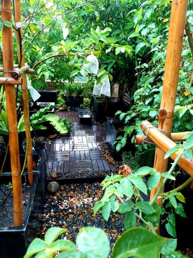 Chia sẻ với PV Dân trí, ông chủ quán phở cho hay, để chuẩn bị tạo dựng 1 khu vườn như mong đợi, trong quá trình xây dựng nhà, anh đã cho thiết kế và chú ý rất kỹ về khả năng chống thấm sàn sân thượng, cũng như khả năng chịu tải để có thể trải đất trồng cây thân gỗ lâu năm.