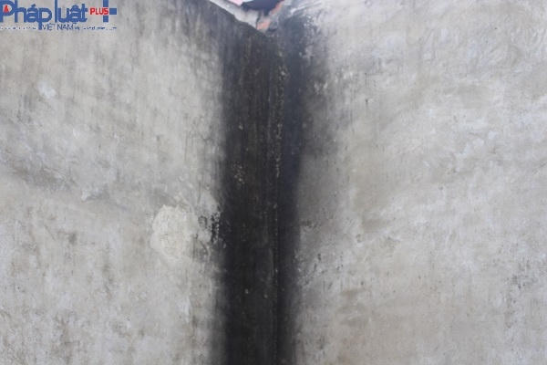 Rêu xanh bắt đầu mọc khắp các bức tường chưa hoàn thiện.