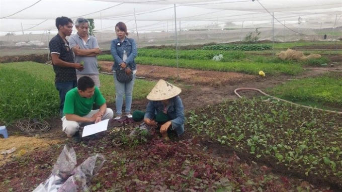 Tư - áo đen và Đào - cô gái đội nón lá - đang trò chuyện cùng những vị khách tham quan vườn rau. Ảnh: Kim Anh