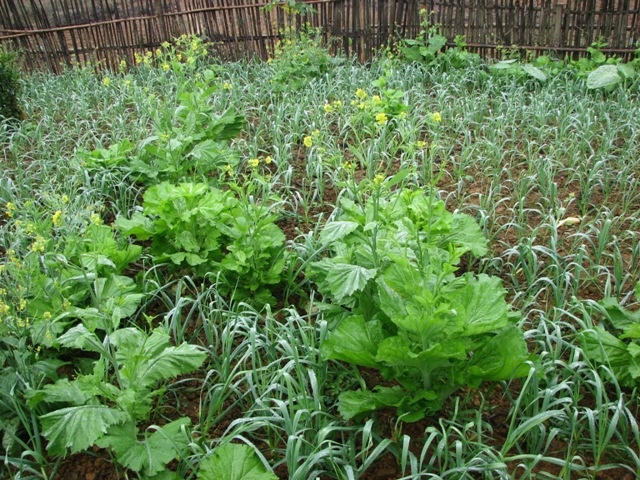 Ngoài mục tiêu ngăn chặn thực phẩm bẩn, Ban chỉ đạo liên ngành còn tổ chức tuyên truyền hướng dẫn người dân những địa chỉ có thể mua, tiêu thụ những thực phẩm sạch. (Ảnh: A. Thắng)