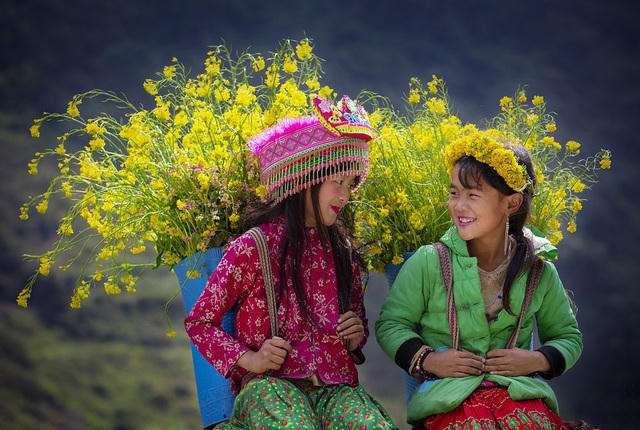 Bức “Springtime in Ha Giang” (Mùa xuân ở Hà Giang) của @thongnguyengallery