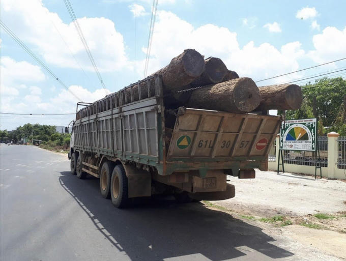 Xe tải vận chuyển gỗ được đưa về trụ sở Hạt Kiểm lâm huyện Cư Jút, tỉnh Đắk Nông. (Ảnh: Báo Lao động)