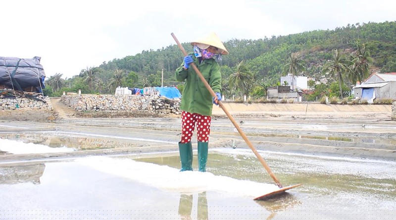 Nhọc nhằn nghề muối.