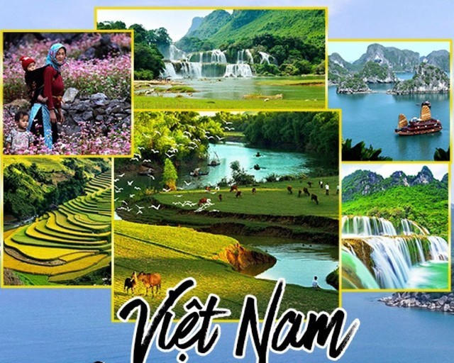 Ảnh minh họa.