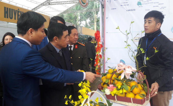 Thương hiệu cam Vinh được người tiêu dùng đón nhận qua chất lượng sản phẩm.