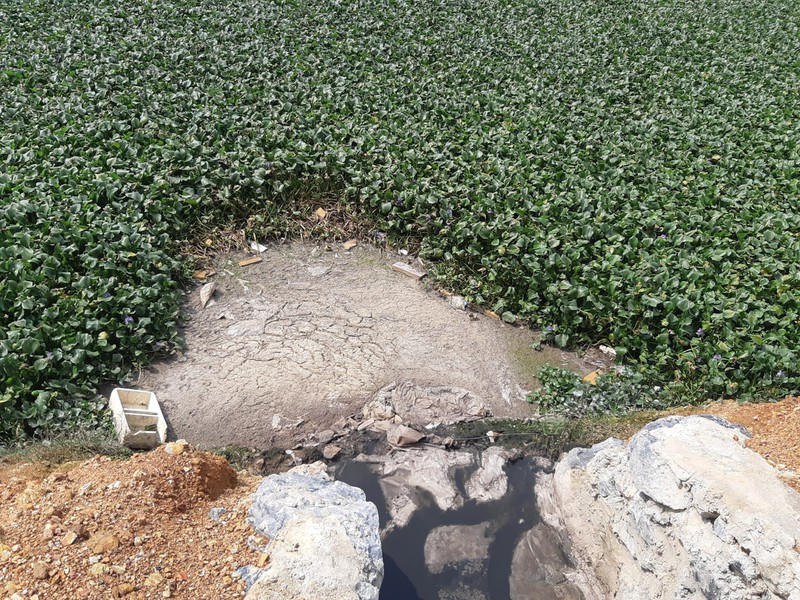 Cận cảnh cái gọi là “bể sinh học” của Hòa Phát Phú Thọ 