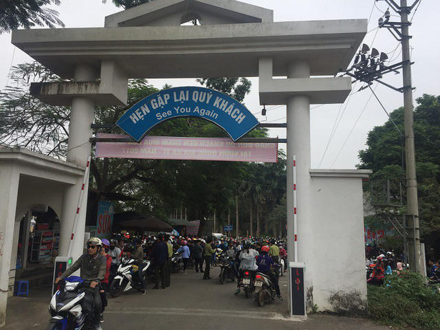 Trong hai ngày cuối tuần vừa qua, lượng người lên Vườn quốc gia Ba Vì ngắm hoa dã quỳ tăng đột biến gây tắc nghẽn giao thông suốt dọc 2km đường vào cổng.