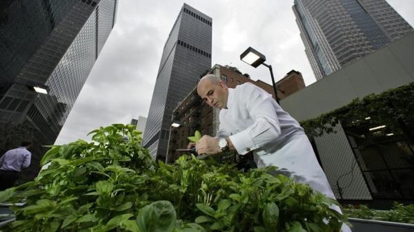 Bắt đầu từ năm 2010, khu vườn tr&ecirc;n n&oacute;c nh&agrave; đ&atilde; được khởi động với hơn 30 khoang trồng rau. Sau đ&oacute;, nh&agrave; h&agrave;ng đ&atilde; mở rộng th&ecirc;m quy m&ocirc;.