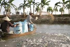 Ảnh minh họa (Internet)