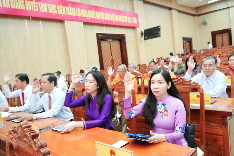 Đại biểu biểu quyết thông qua các nghị quyết.