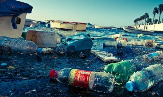 Một vỏ chai nhựa như thế này cần đến 400 năm mới có thể bị phân hủy.