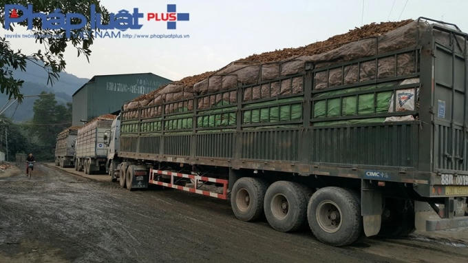 Đoàn xe quá khổ quá tải đỗ hàng dài chờ bốc dỡ.