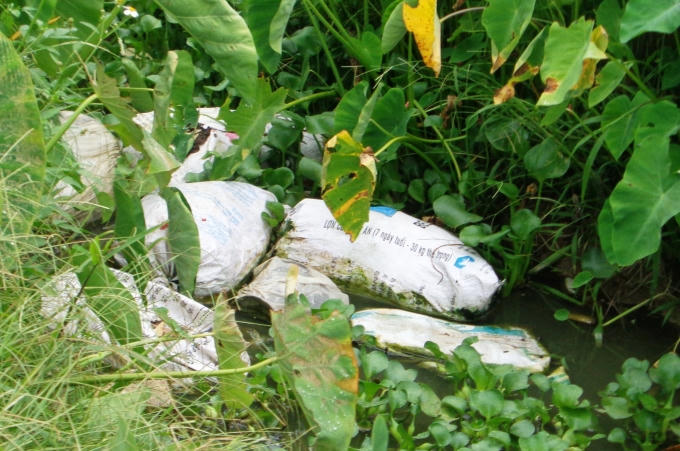 Lợn bị vứt một cách vô tội vạ ra môi trường, khiến bầu không khí nơi đây bị bức tử, người dân muốn bỏ ruộng.