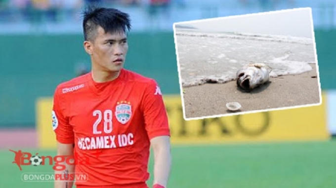 Công Vinh và Văn Hoàn bị ngộ độc vì ăn cá biển