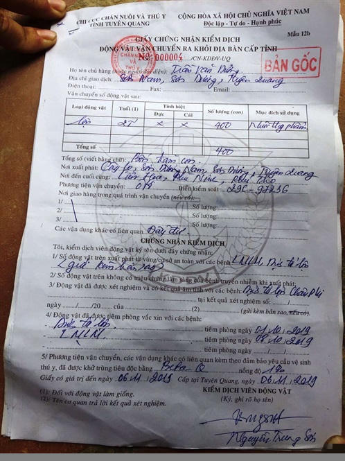 Giấy chứng nhận kiểm dịch 400 con lợn tại trang trại của Mavin với đại diện là ông Trần Văn Dương do Chi cục Chăn nuôi và Thú y Tuyên Quang cấp cho anh Hà Quang Đạo ngày 6/11.
