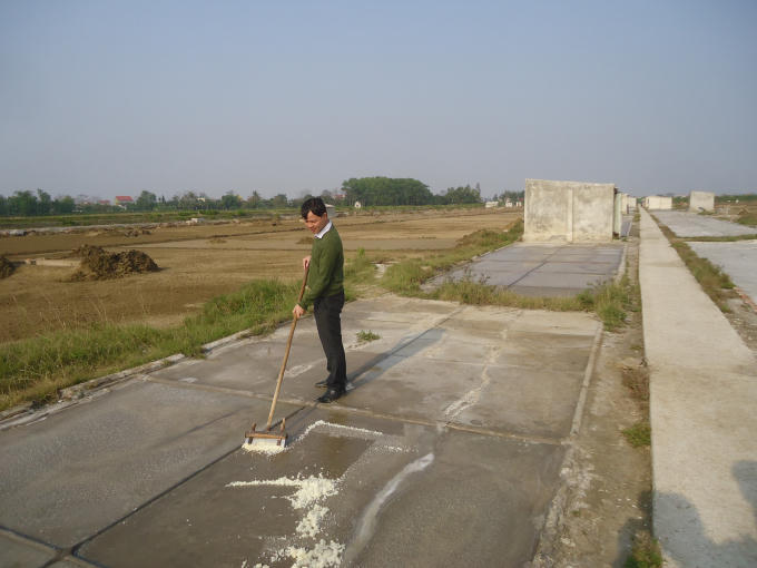 Người dân sản xuất muối ở thôn Tam Hòa, xã Hòa Lộc, huyện Hậu Lộc