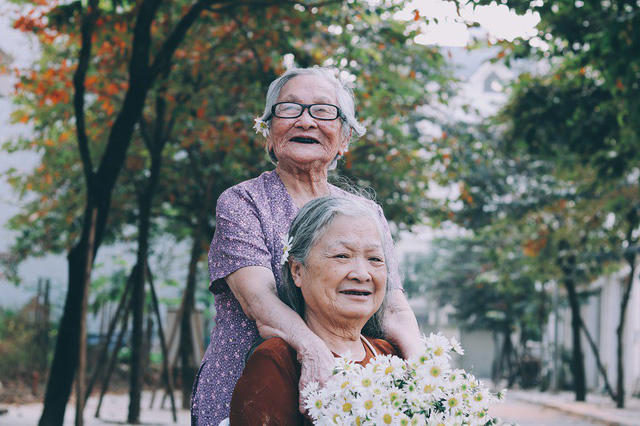 Bộ ảnh đôi bạn già 80 tuổi bên cúc họa mi gây xúc động dân mạng
