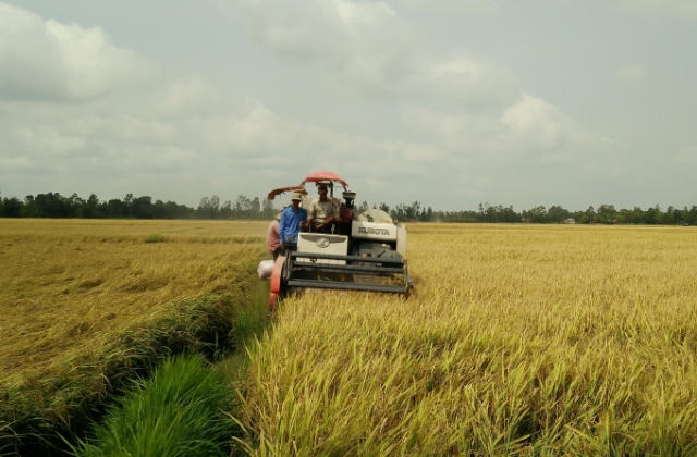 ĐBQH Trần Thị Thanh Hương: Cần có giải pháp hạ giá phân bón