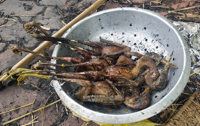 chỉ sau vài phút những chú chim này đã sạch lông và được thui rơm vàng ươm.