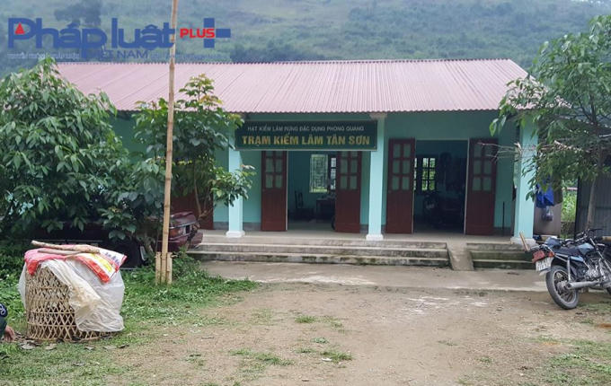 Trạm Kiểm lâm Tân Sơn cách điểm tập kết gỗ nghiến khoảng 2 km (Ảnh: Tiến Vũ)