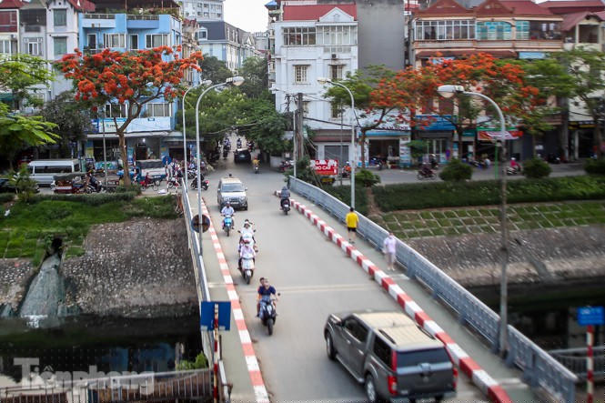 Phố phường Hà Nội rạo rực 'mùa phượng cháy' - ảnh 3