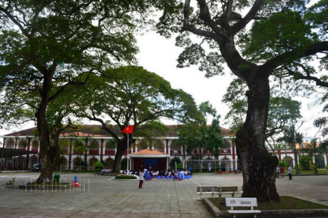 Những cây cổ thụ ở trường Tiểu học - THCS - THPT iSchool Sóc TrăngẢnh: Hoàng Vân