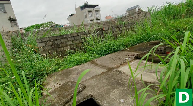 Dù đất đai được bố mẹ tôn tạo để lại hợp pháp, gia đình ông Phương vẫn đang phải chịu cảnh bỏ hoang, sống nheo nhóc.