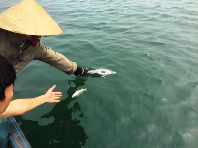 Người dân mệt mỏi vớt cá chết trên biển.