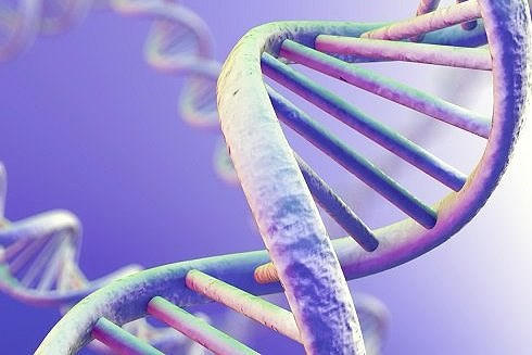 Do di truyền:Nếu trong gia đình có bố mẹ mắc ung thư da thì khả năng con cái cũng dễ mắc bệnh cao hơn người bình thường.