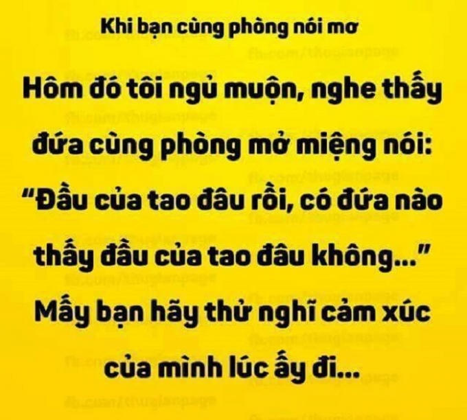 Câu nói mơ của bạn cùng phòng còn làm cảm xúc các bạn khác hoảng loạn. (Nguồn:Facebook).