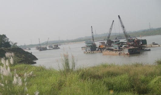 Nhiều tàu khai thác cát địa phận xã Trưng Vương. Ảnh: Ảnh Xuân Hồng chụp lúc 16giờ ngày 11/11/2016.