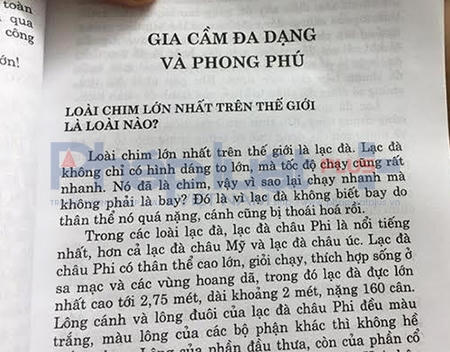 Cuốn sách thiếu nhi gây xôn xao dư luận có đoạn khẳng định “Lạc đà là loài chim lớn nhất thế giới,…cánh cũng bị thoái hóa rồi,…”.