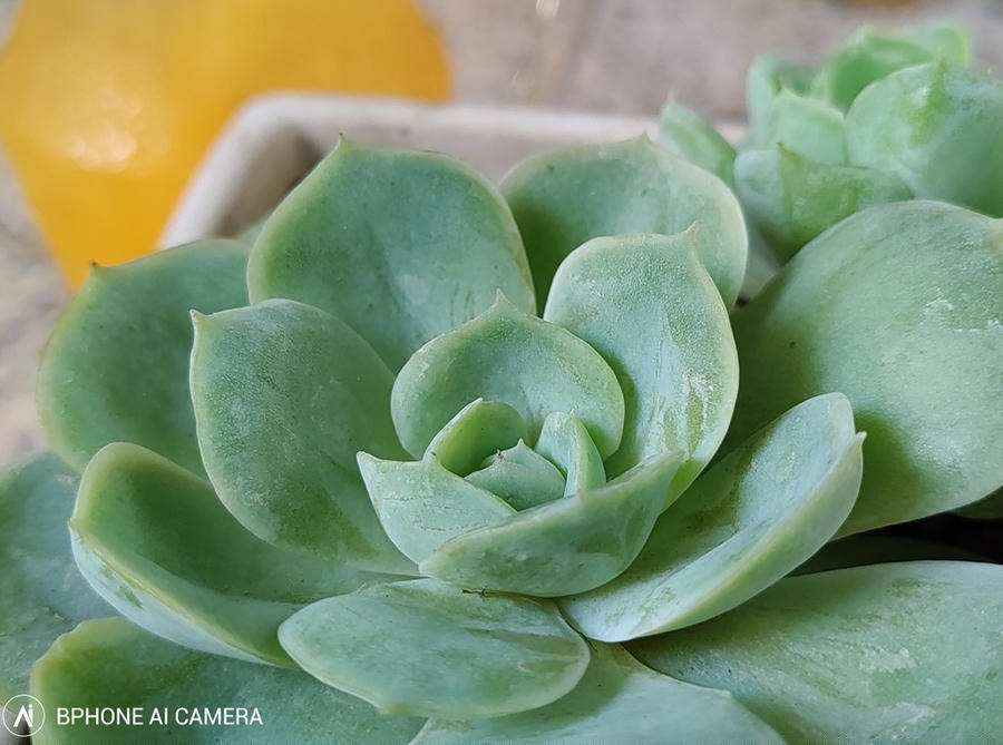 Trải nghiệm Camera Bphone B86, những tính năng mới có thú vị? ảnh 7