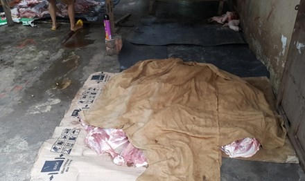 Hơn 3 tạ thịt heo bị buộc tiêu hủy.