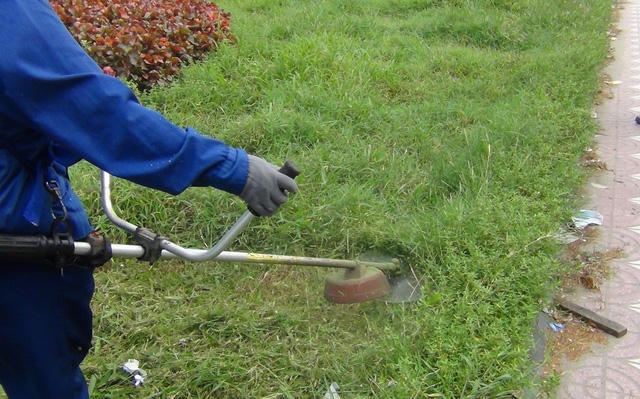 Việc tạm dừng cắt cỏ, trồng cây hoa, tiếp kiệm kinh phí cho Thủ đô, nhưng các thảm cỏ, cây cảnh không được chăm sóc cũng làm ảnh hưởng đến thẩm mỹ trên các tuyến đường.