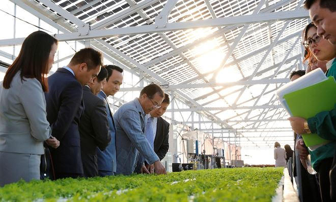 Lãnh đạo Tập đoàn FLC xem xét mô hình trang trại nông nghiệp cao của Farmdo tại Nhật Bản