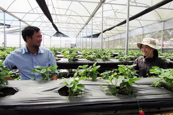 lNông nghiệp cần doanh nghiệp để tạo sự đột phá. (Ảnh minh họa)
