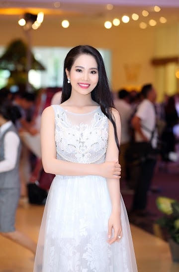 Sau khi lọt vào Top 5 Hoa hậu Biển Việt Nam 2016 và giành giải thưởng "Hoa hậu Áo dài Biển Việt Nam", Dương Kim Ánh nhận được nhiều lời mời tham dự các sự kiện và làm gương mặt đại sứ cho các dự án quảng cáo sắp tới.