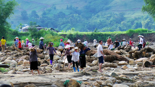 Chiều 12/10, người dân xã Hạnh Sơn nô nức ra suối nhặt gỗ.
