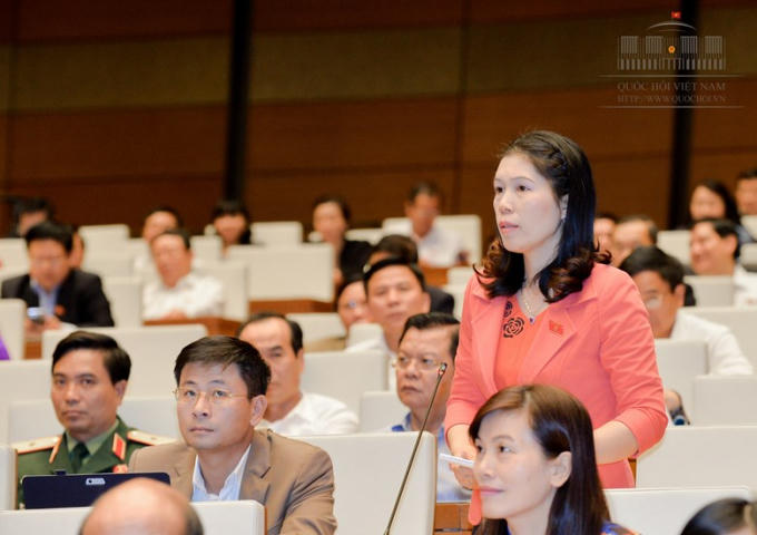 Đại biểu Trần Thị Phương Hoa (đoàn Hà Nội)
