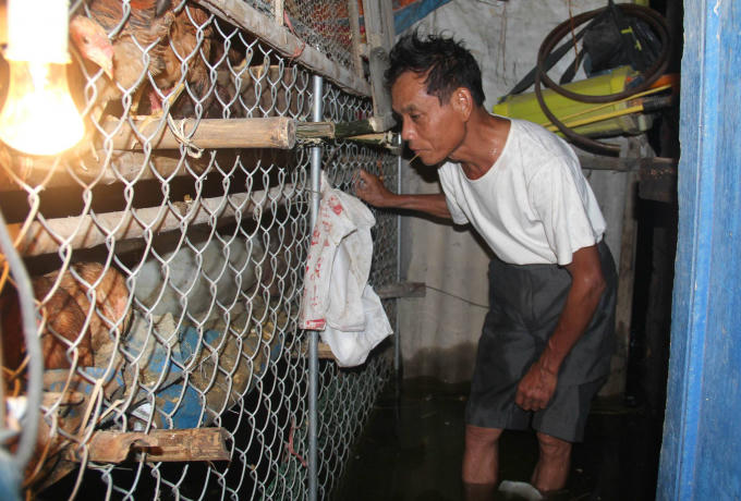 Người d&acirc;n x&atilde; Hưng Lợi di tản vật nu&ocirc;i chạy lũ.