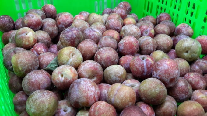 Th&ecirc;m một địa điểm b&aacute;n thực phẩm sạch phục vụ người ti&ecirc;u d&ugrave;ng