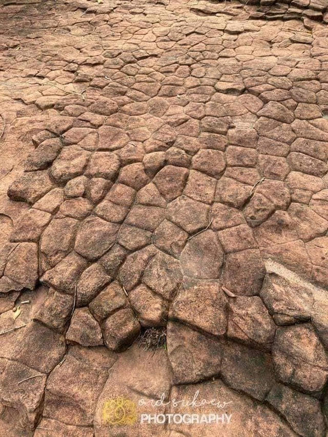2.