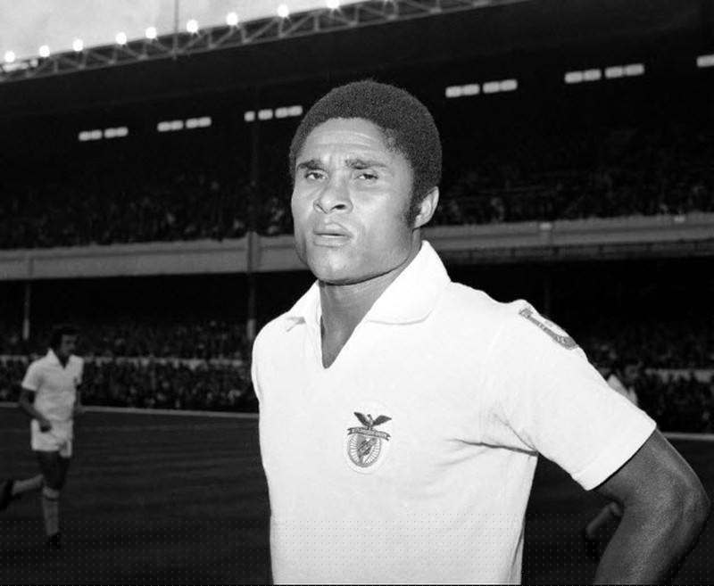 Báo đen Eusebio. ẢNH: PA